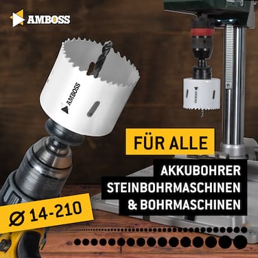 Amboss Basic HSS Bi-Metall M42 (8% Cobalt) Lochsägen