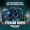 Bayerwald Werkzeuge NeoTwister Planfräser Ø 62,5 mm