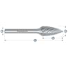 HM Frässtifte - 3 x 10 x 3 x 38 <br>Zahnform: HP-3 - Form: Spitzbogen - DIN 8033: SPG
